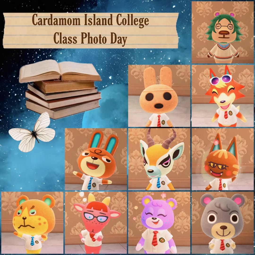 welcome to cardamom