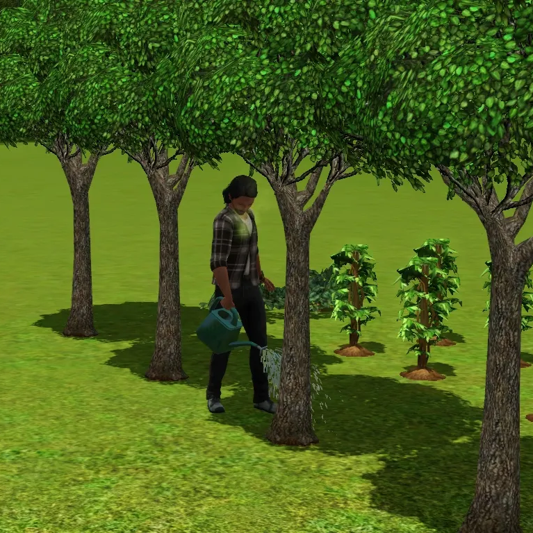 SWLC 1:1 Welcome to the Farm